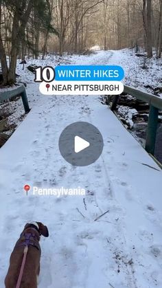 Kim •  Hiking, Adventure Travel, Road Trips on Instagram: "Did you know there are many great winter hiking spots near Pittsburgh? (These are all about an hour or less from da ‘burgh 😉) 

***Save this list for your winter hiking inspiration.*** 

If the cold winter months bring you down, don’t worry, I’ve got you covered.😉 

‼️I want to emphasize how important it is for you to wear blaze orange when hiking in the winter.  Please check the dates for the different hunting seasons and be careful! You can still enjoy the woods in the winter, but please use caution. Be safe!‼️ 

1. Rock Furnace Trail, Apollo, PA—2.8 mi moderate out-and-back 
2. Buttermilk Falls, New Florence, PA—0.5 mi easy out-and-back to a 45-foot waterfall you can walk behind
3. Mineral Springs Loop, Raccoon Creek SP—1.2 mi Creek Sp, Hiking Inspiration, Buttermilk Falls, Pennsylvania Travel, Hiking Spots, Hiking Adventure, Winter Hiking, Hunting Season, Be Safe