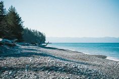 an empty beach with rocks and trees on the shore near the water's edge