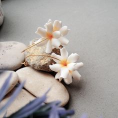 Bright Hoop earrings with Parijat flowers. They are made of white polymer clay with orange toned. The earrings are adorned with gold-colored hoops. Earrings featuring the enchanting parijat (night jasmine) flowers, embodying both delicacy and mystery. These earrings are perfect for those who appreciate natural beauty and seek unique accessories. Parijat flowers symbolize spirituality and otherworldly beauty, giving the earrings a special charm.  Ideal as a gift for her, for special occasions, or as an everyday accessory. They are lightweight and easy to use. This is a handmade item, so each pair is unique. If you have any questions regarding this product please do not hesitate to get in touch. I can make hairpins like this with any color - leave me message in order. The length of the earri Parijat Flower, Indian Night, Night Jasmine, Otherworldly Beauty, Jasmine Bridal, Flower Earrings Gold, Earrings Gold Hoop, Everyday Accessories, Jewelry Earrings Hoops