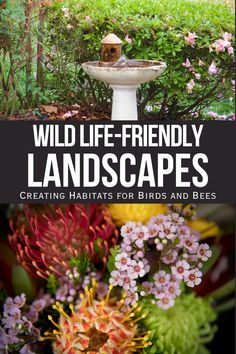 wild life - friendly landscapes creating habitats for birds and bees book cover with bird bath surrounded by flowers