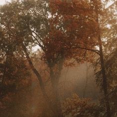 the sun is shining through the trees in the park on a foggy autumn day