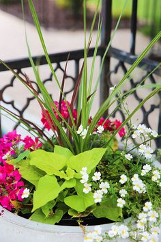 a potted planter filled with flowers and greenery