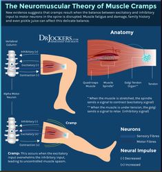 The body will give us signs and signals when we have nutritional deficiencies. Here are 5 body signs of nutritional deficiencies. Leg Cramps Causes, Nighttime Leg Cramps, Lower Leg Pain, Leg Cramps At Night, Lower Leg Muscles, Small Wave Tattoo, Calf Cramps, Acid Base Balance, Muscle Cramps