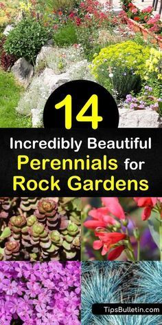 Rock Flower Beds, Succulent Rock Garden, Ideas Terraza, Rockery Garden, River Rock Garden, Rock Bed, Tattoo Plant, River Rock Landscaping, Rock Garden Plants