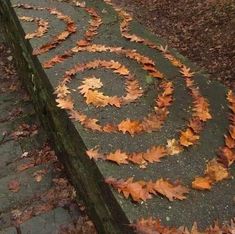 the leaves are on the ground by the bench