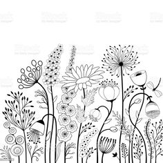 an illustration of flowers and plants with the words, abstract flower - sand written in black ink