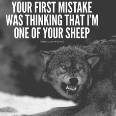 a wolf with its mouth open and the words, your first mistake was thinking that i'm one of your sheep