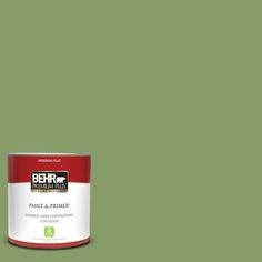 behr paint and primer in green with red tint on the bottom,