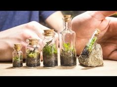 several small bottles filled with plants and rocks