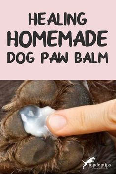 a dog paw with the words, how to heal and use homemade dog paw balm