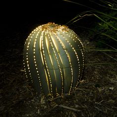 a cactus with lights on it in the dark