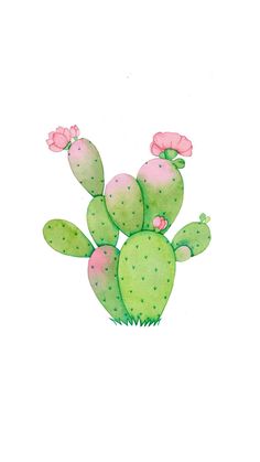 a drawing of a cactus with pink flowers on it's head and green leaves