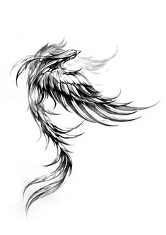 Ideas tattoo for woman Phoenix Chest Tattoo Men, Phoenix Drawing Tattoo, Small Phoenix Tattoo Men, Black And White Phoenix Tattoo, Phoenix Tattoo Men Arm, Fenix Tattoo Men, Phoenix Tattoo Design Men, Gang Tattoo Ideas, Fenix Tattoo Design