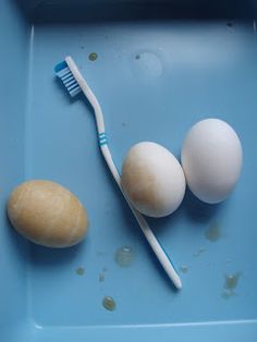 Soak hard-boiled eggs in pepsi, then brush them with a toothbrush and toothpaste to get them clean again! Dental Health Unit, Chromatography For Kids, Fall Science, Toothbrush And Toothpaste, Simple Science, Health Unit