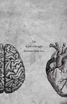 two drawings of the human heart and brain