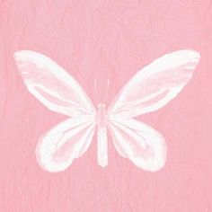 a pink background with a white butterfly painted on it's back and bottom half