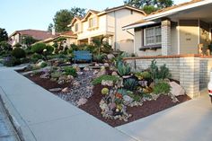 26 rock landscaping ideas front yard 9 Front Yard Remodel, Succulents Landscape, Front Yard Garden Landscaping, Home Front Yard, Succulent Landscape, Yard Remodel, Water Wise Plants, Landscaping Projects, Residential Landscaping