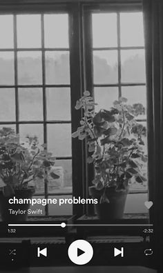 an image of a window with potted plants on the windowsill and text reading champagne problems taylor swift