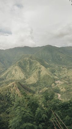 the mountains are covered in trees and grass