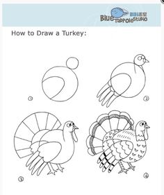 how to draw a turkey for kids with pictures on the front and back side of it