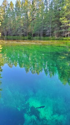 the water is very clear and blue with some trees in the backgrouds