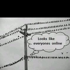 many birds are sitting on power lines with a thought bubble above them that says looks like everyones online