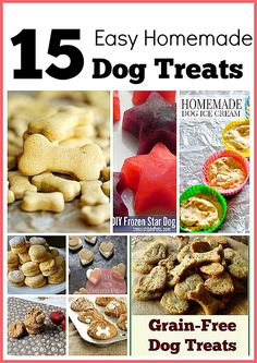 the cover of 15 easy homemade dog treats