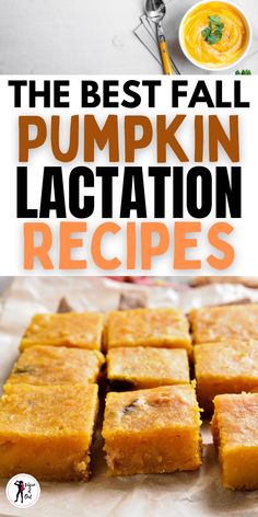 Fall Lactation Recipes, Snacks To Help Milk Supply, Recipes To Increase Breastmilk, Pumpkin Lactation Balls, Meals To Increase Milk Supply, Pumpkin Lactation Recipes, Foods For Breastmilk Milk Supply, Up Milk Supply Fast, Food To Help Breastmilk Supply