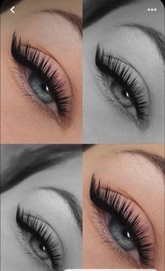 Lashes Fake Eyelashes, Eyelash Technician, Perfect Eyelashes, Doll Eye Makeup, Pretty Lashes, Eyelash Extentions, Makijaż Smokey Eye, Braut Make-up, Lashes Beauty