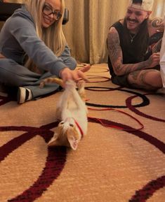 two people sitting on the floor petting a small cat with its mouth open and tongue out