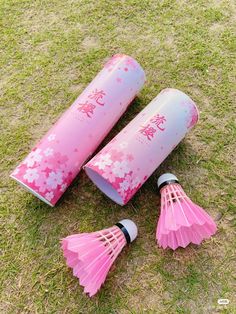 three pink fan shaped objects laying on the ground