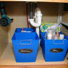 two blue bins sitting next to each other under a sink