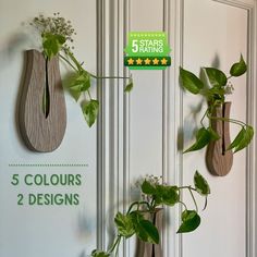 three wooden vases with plants in them hanging on the wall