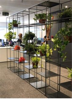 an office filled with lots of plants and potted plants on metal shelvings