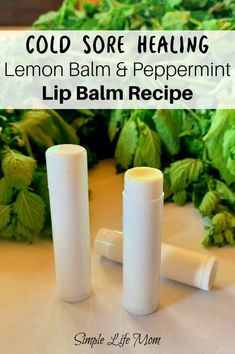 How to Make Healing Cold Sore Lip Balm - Simple Life Mom Peppermint Lip Balm Recipe, Cold Sore Lip, Burt's Bees Lip Balm, Healing Lip Balm, Burts Bees Lip Balm, Balm Recipe, Peppermint Lip Balm