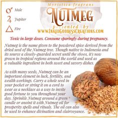 the label for nutmeg is shown with nuts and other things to eat on it