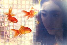 a woman looking at goldfish in an aquarium with sunlight coming through the window behind her