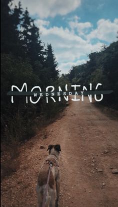 a dog walking down a dirt road with the words morranto written on it