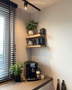 the coffee maker is on top of the counter next to the potted plant in the corner