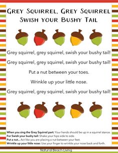 a poster with the words grey squirrel, grey squirrel, and brown squirrel on it