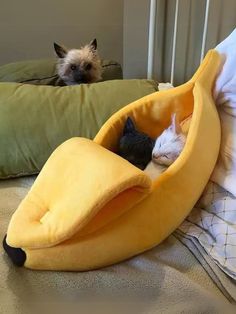 two cats sleeping in a banana shaped bed