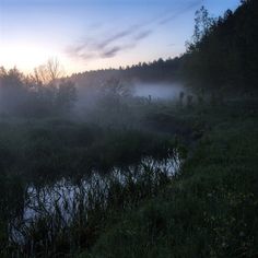 the sun is setting on a foggy day in the woods near a river with grass and trees