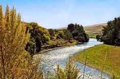 a river running through a lush green countryside