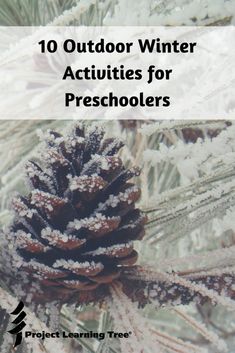 an image of a pine tree with the title 10 outdoor winter activities for preschoolers