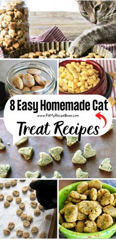 the collage shows different types of homemade cat treats and how to make them at home