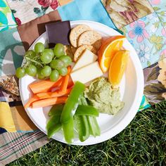 a white plate topped with fruit and veggies on top of a grass covered field