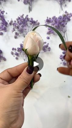 two hands holding flowers in front of lavenders