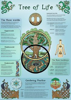 Nordic Tree Of Life, Nordic Tree, Tree Of Life Meaning, Magia Das Ervas, Spiritual Journals, Infographic Poster, Wiccan Spell Book, Spirit Science, Witch Spell Book