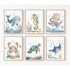 four paintings of sea animals and marine creatures