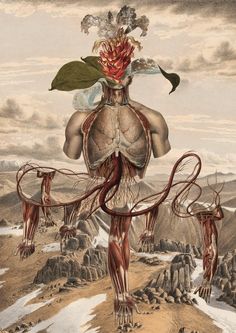 an image of a man with flowers on his head and torso in front of mountains